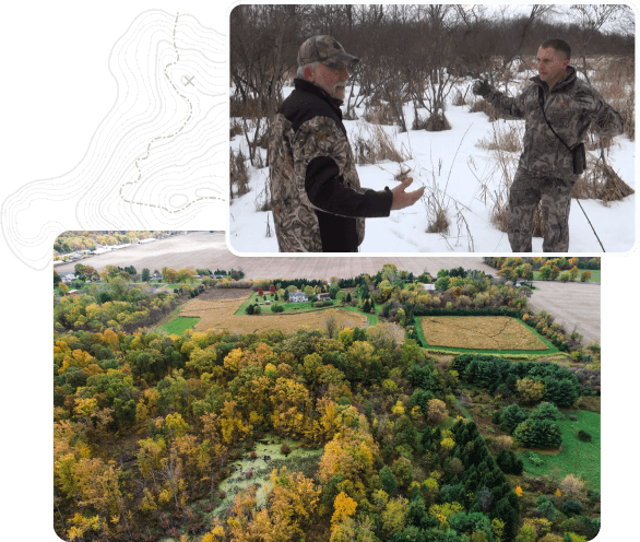 img-on-site-consulting